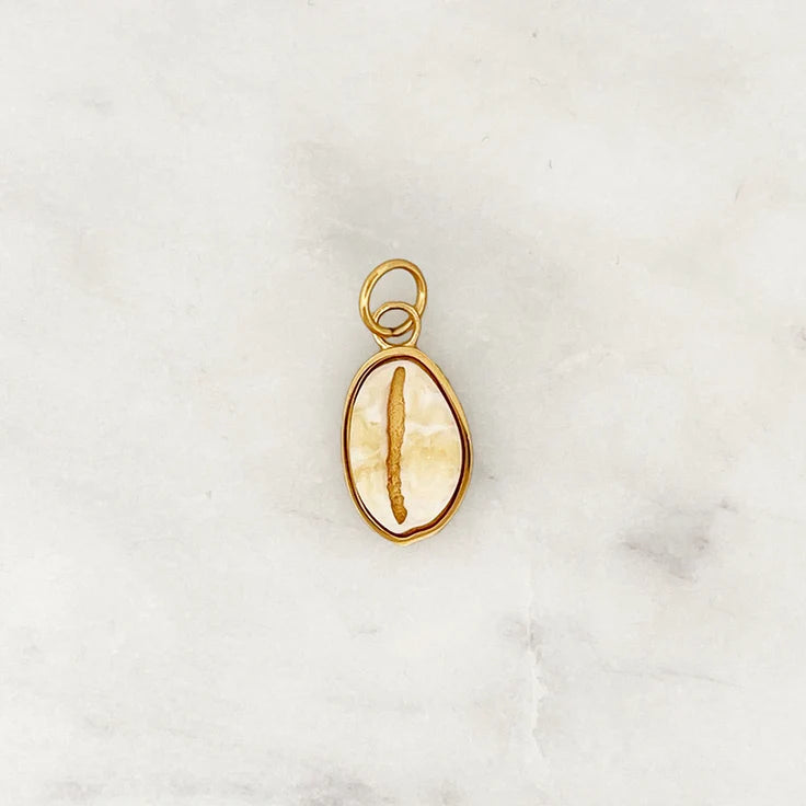DYO Cowrie Shell