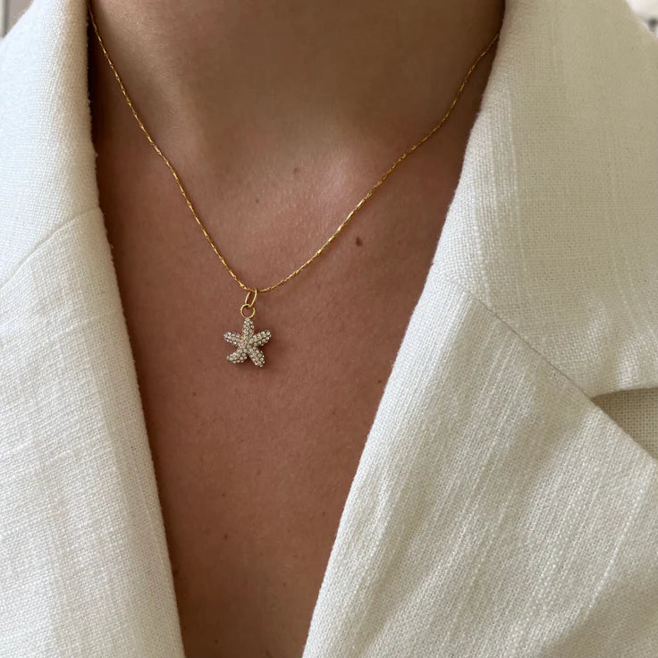 DYO Shiny Starfish