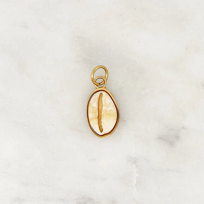 DYO Cowrie Shell