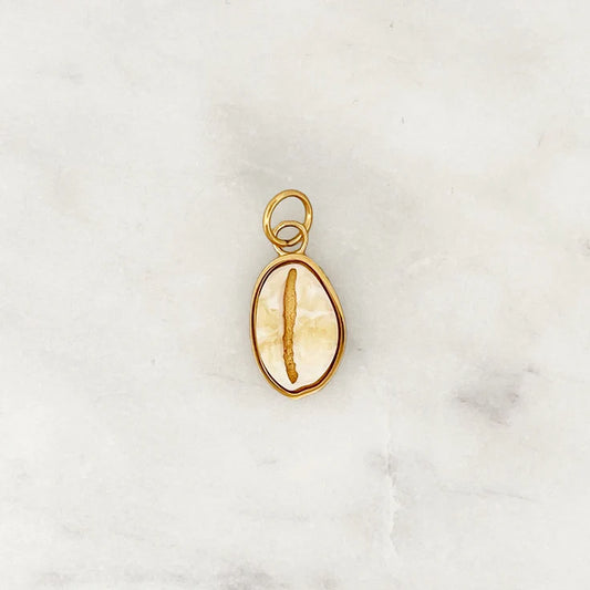 DYO Cowrie Shell