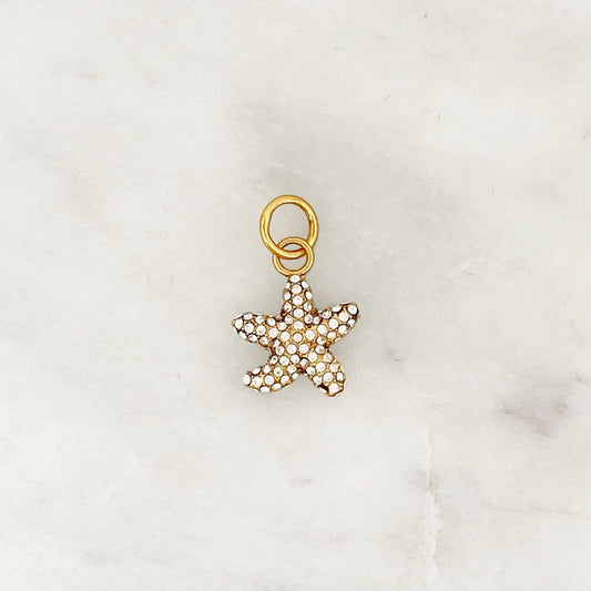 DYO Shiny Starfish